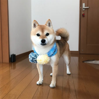 発達障害   学習塾