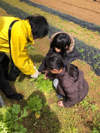 発達障害  学習塾